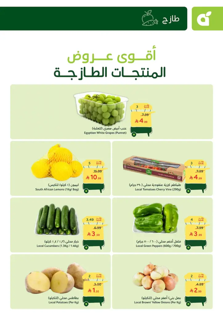 عروض بنده