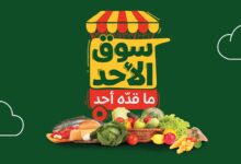 عروض بنده